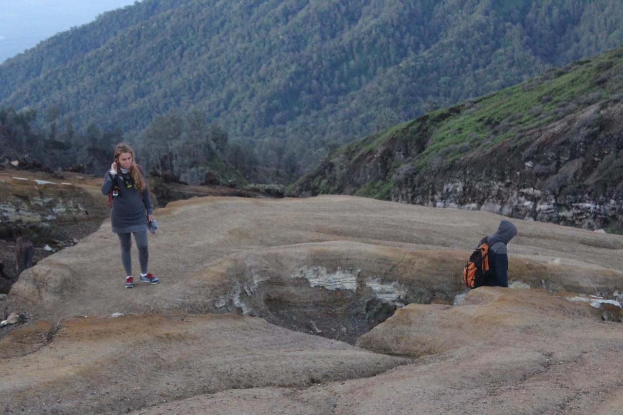 Backpacker Kawah Ijen Vandrehjem Banyuwangi  Eksteriør billede