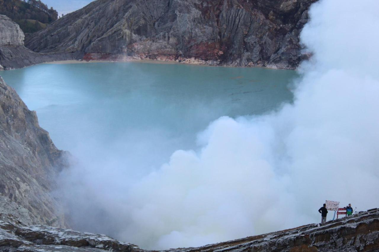 Backpacker Kawah Ijen Vandrehjem Banyuwangi  Eksteriør billede