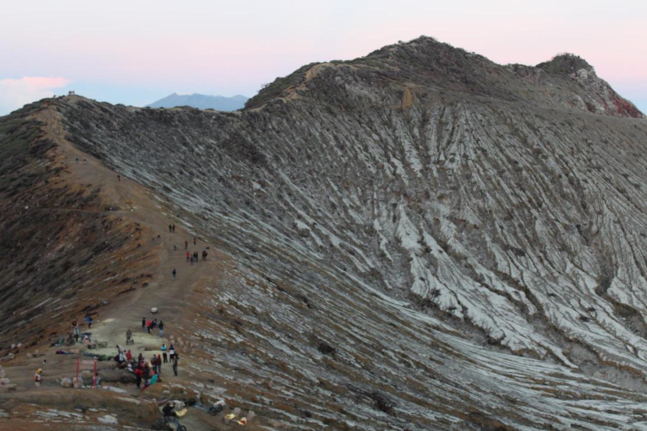 Backpacker Kawah Ijen Vandrehjem Banyuwangi  Eksteriør billede