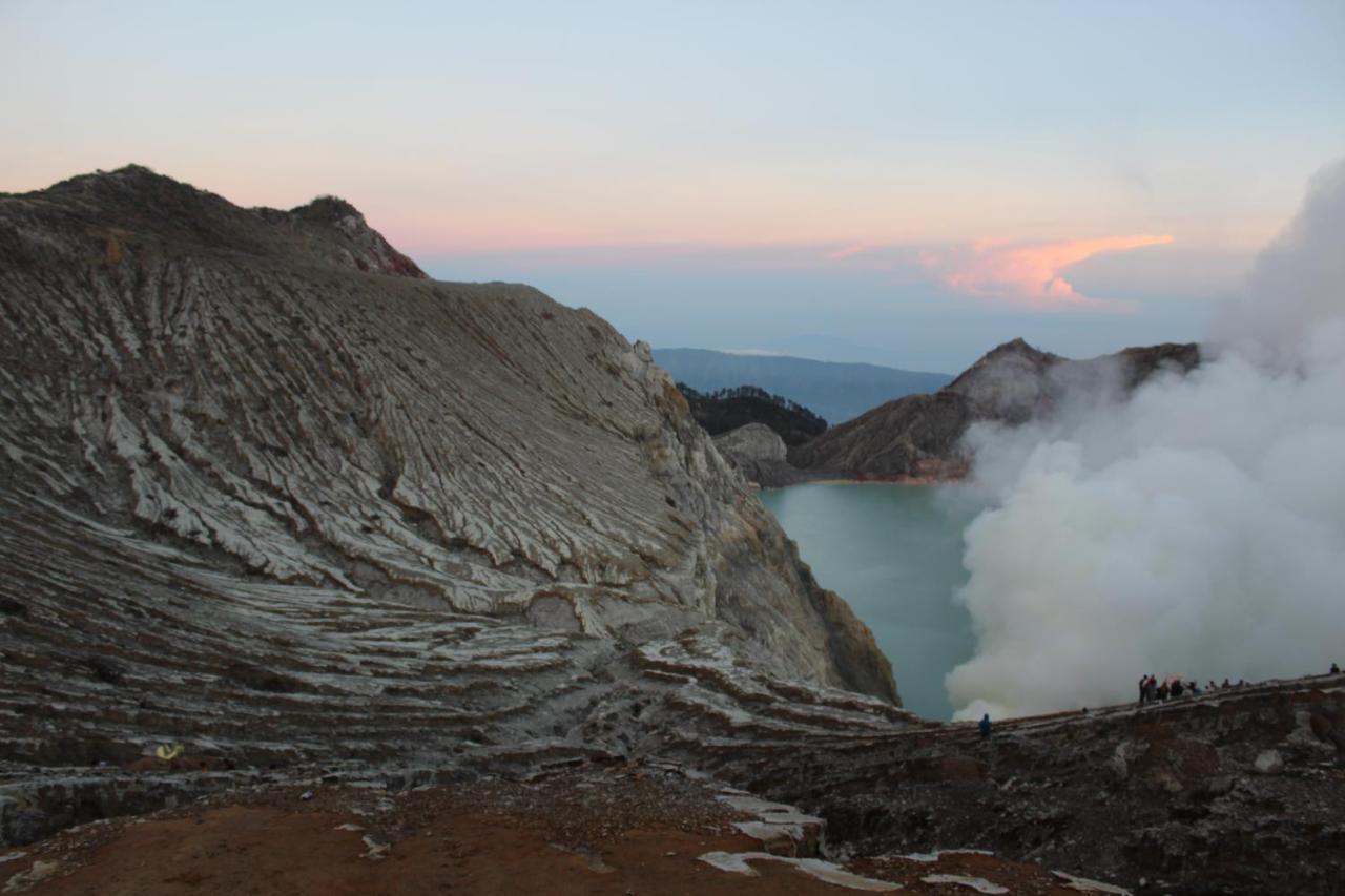 Backpacker Kawah Ijen Vandrehjem Banyuwangi  Eksteriør billede