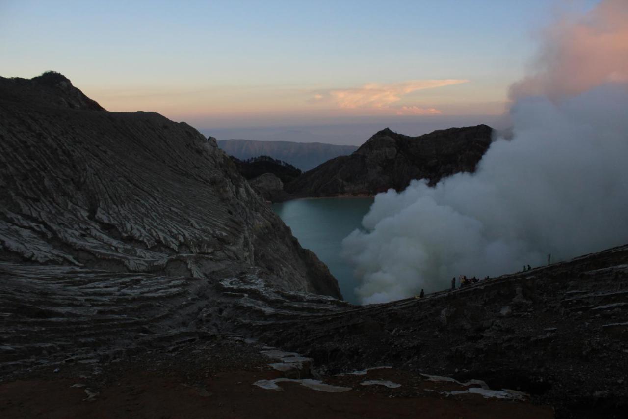 Backpacker Kawah Ijen Vandrehjem Banyuwangi  Eksteriør billede