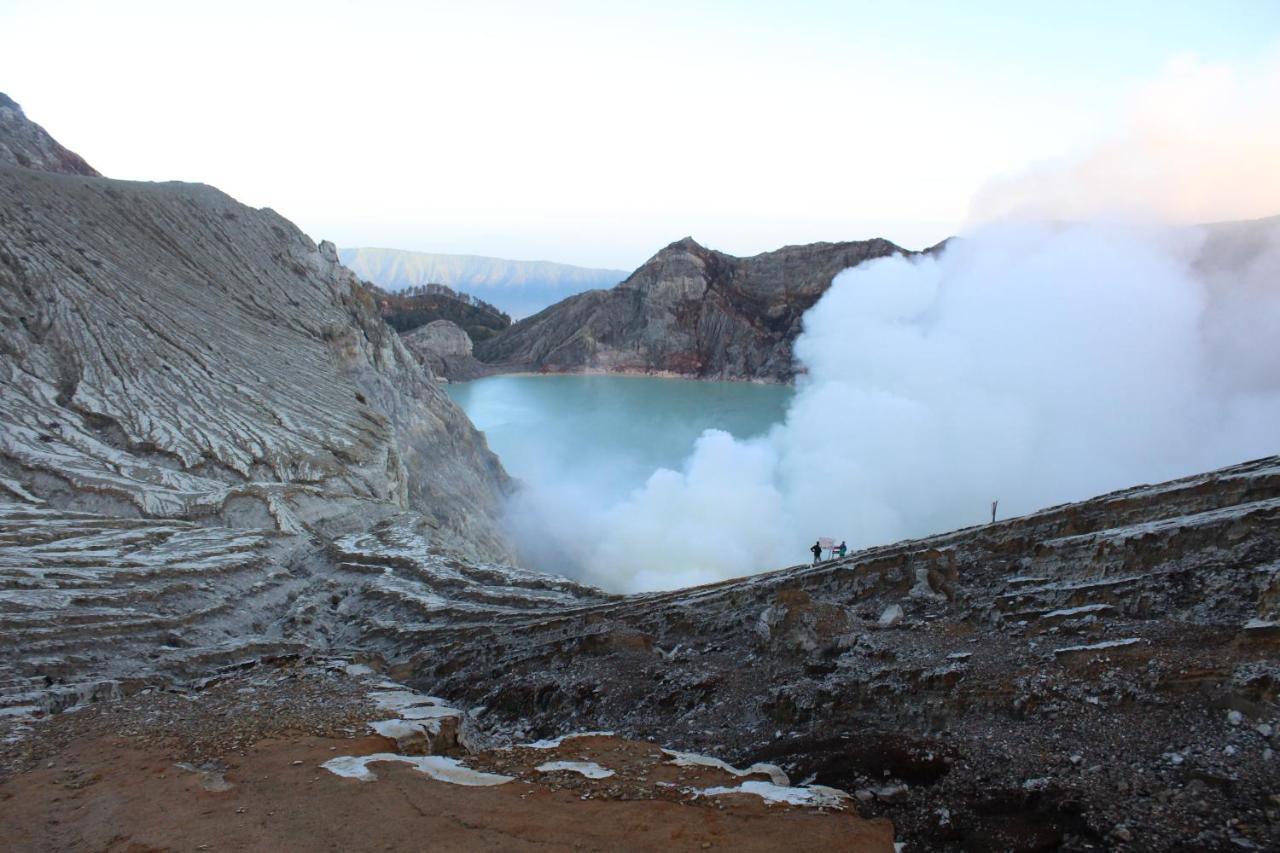 Backpacker Kawah Ijen Vandrehjem Banyuwangi  Eksteriør billede